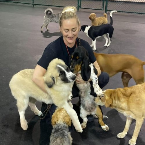 Screenshot Screenshot