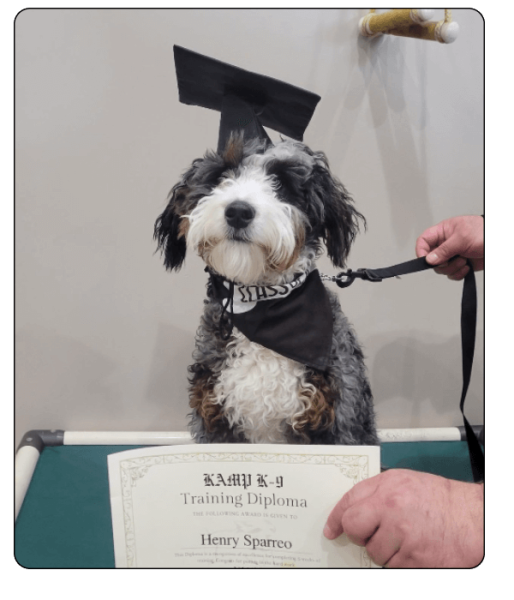 Kamp K-9 Elements - about