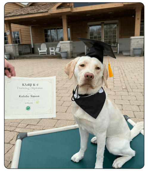 Kamp K-9 Elements- training4