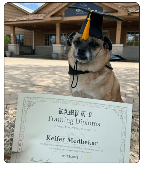 Kamp K-9 Elements- training6