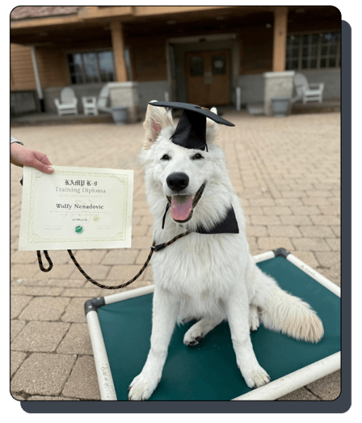 Kamp K-9 Elements_home2