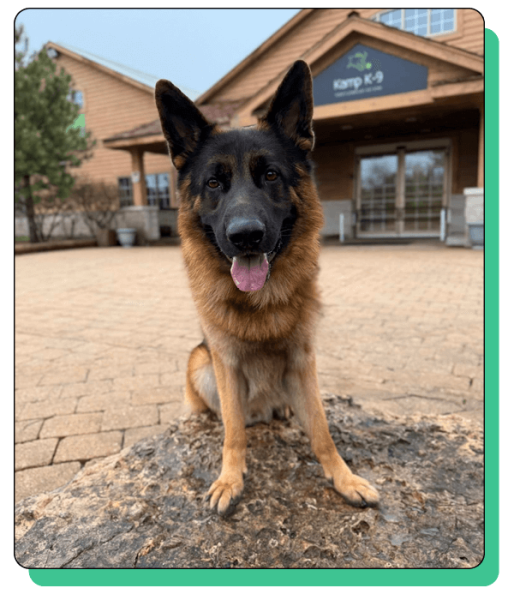 Kamp K-9 Elements_home5