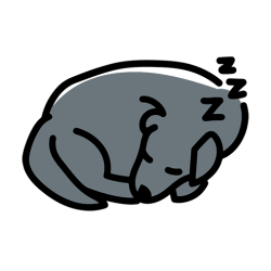 sleeping dog GREY